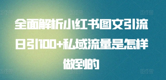 日引流100私域流量小红书图文是怎样做到的全面解析-天下副业