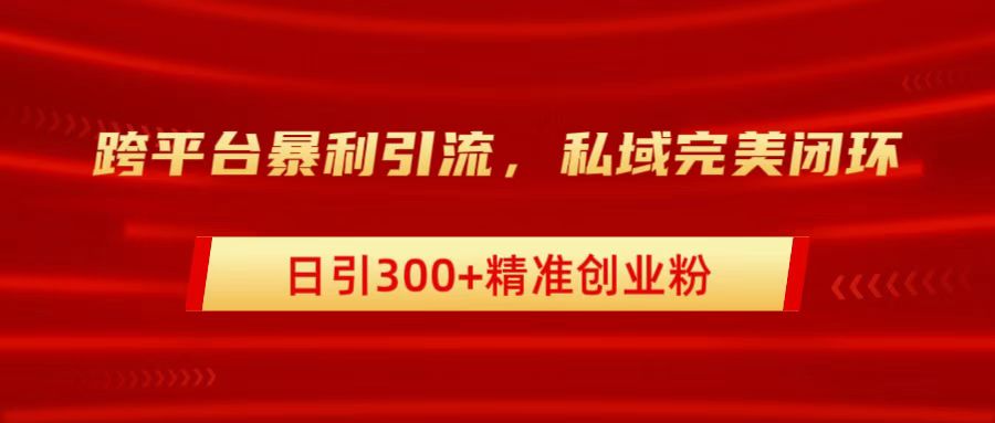 跨平台暴力引流，私域完美闭环，日引300+精准创业粉-天下副业