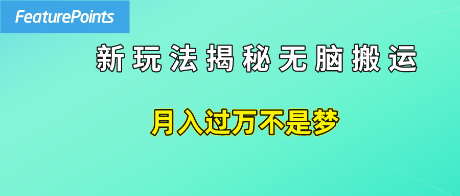 简单操作，每天50美元收入，搬运就是赚钱的秘诀！-天下副业