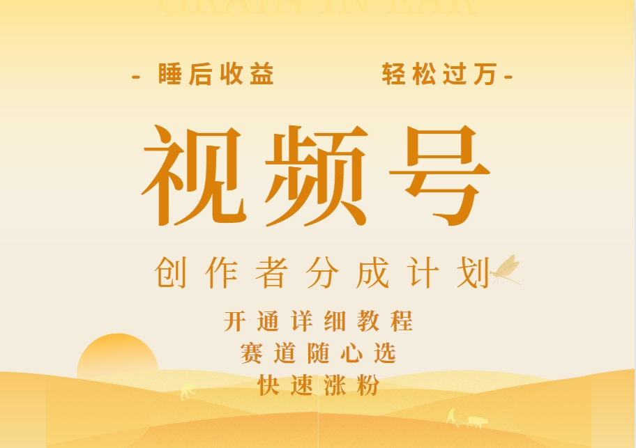 详解视频号创作者分成计划，暴力起号，可同步多平台，实现睡后收入2W+，看懂即可操作！-天下副业