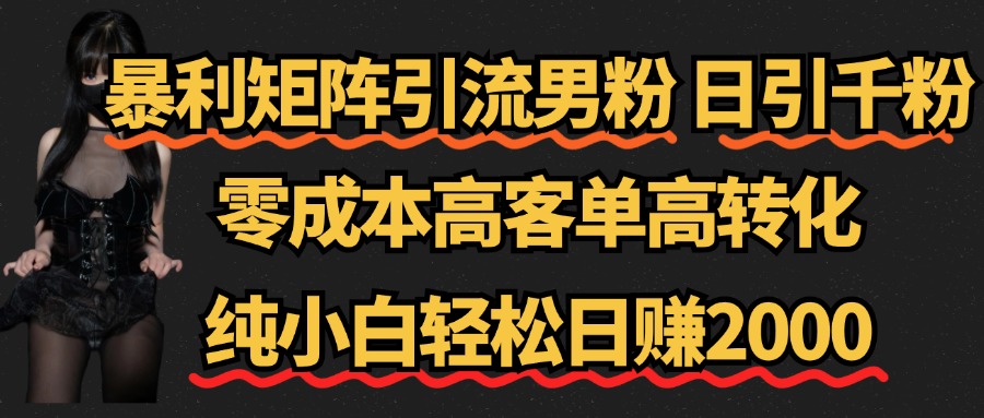 暴利矩阵引流男粉（日引千粉），零成本高客单高转化，纯小白轻松日赚2000+-天下副业