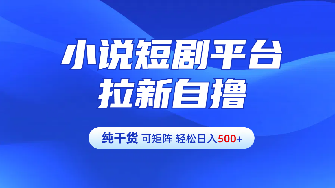 【纯干货】小说短剧平台拉新自撸玩法详解-单人轻松日入500+-天下副业