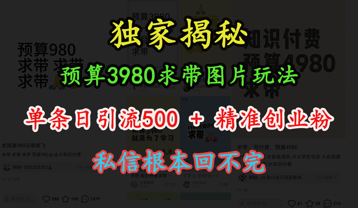 “小红书”预算3980求带 图片玩法，单条日引流500+精准创业粉，私信根本回不完-天下副业