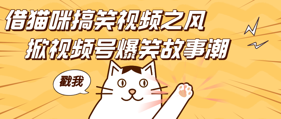 借猫咪搞笑视频之风，掀视频号爆笑故事潮，轻松日赚四位数，开启无门槛赚钱新体验！-天下副业