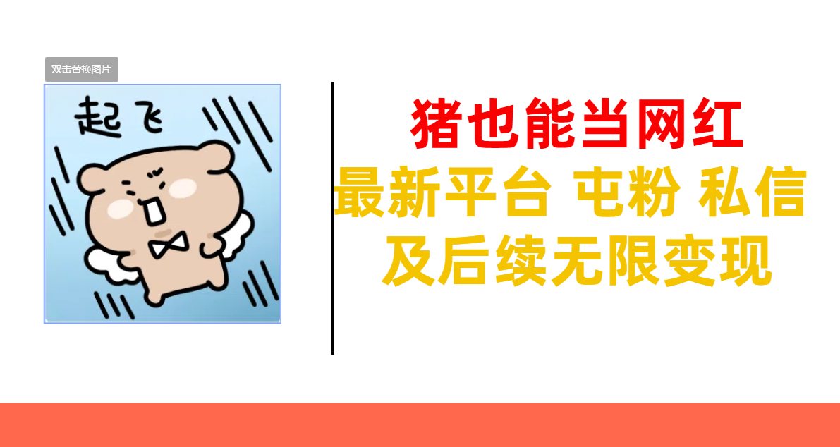 猪也能当网红-最新平台 屯粉 交流 私信 及后续无限变现-天下副业