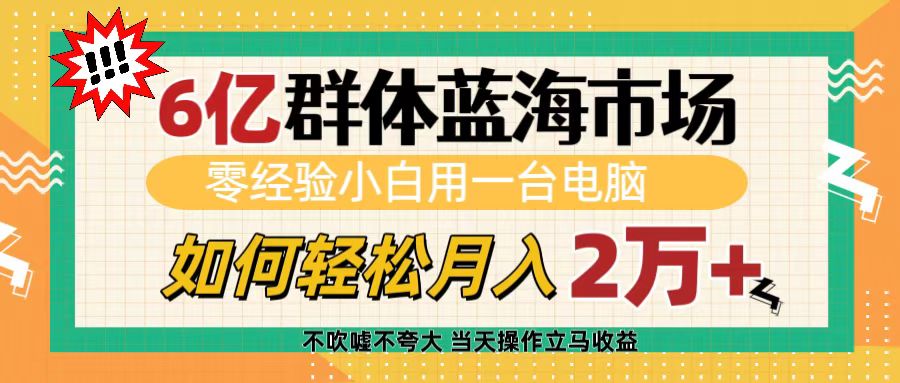 6亿群体蓝海市场，零经验小白用一台电脑，如何轻松月入2万+-天下副业