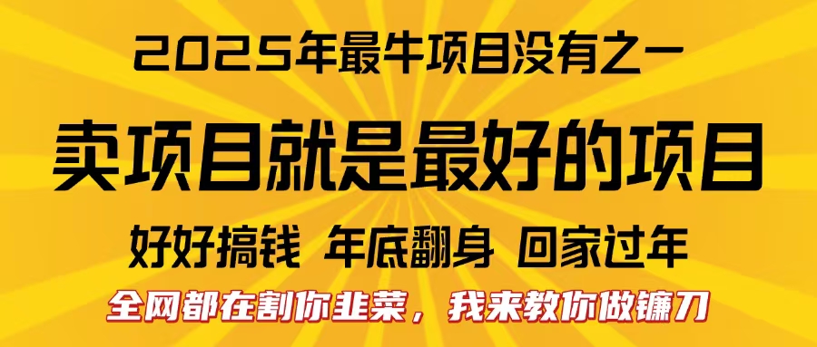 全网都在割你韭菜，我来教你做镰刀。卖项目就是最好的项目，2025年最牛互联网项目-天下副业