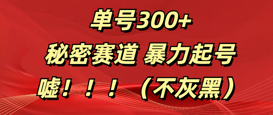 单号300+  秘密赛道 暴力起号  （不灰黑）-天下副业