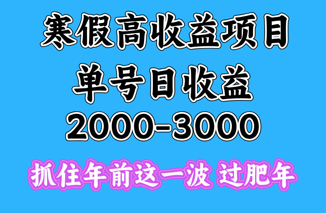 寒假期间一天收益2000-3000+，抓住年前这一波-天下副业