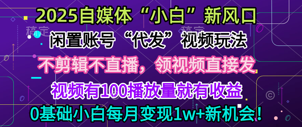 2025每月躺赚5w+新机会，闲置视频账号一键代发玩法，0粉不实名不剪辑，领了视频直接发，0基础小白也能日入300+-天下副业