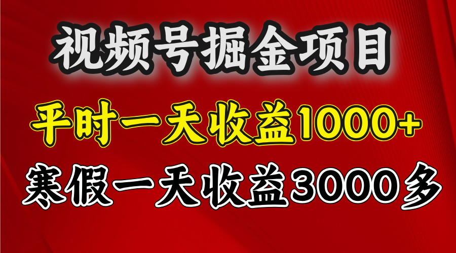 视频号掘金项目，寒假一天收益3000多-天下副业