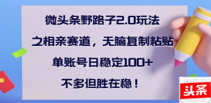 全网首发微头条野路子2.0玩法之相亲赛道，无脑搬砖复制粘贴，单账号日稳定300+保姆级教程-天下副业