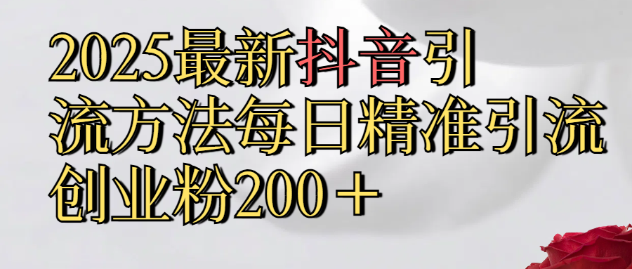2025最新,抖音引流,方法每日精准引流创业粉300＋-天下副业
