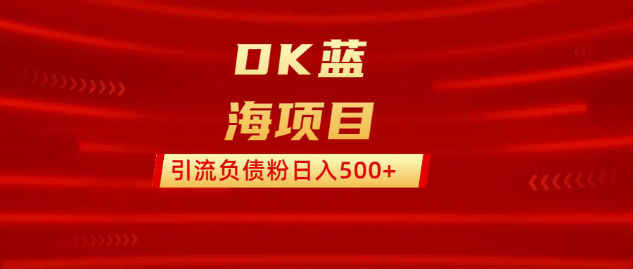 DK蓝海项目  通过，抖音，快手，小红书，引流负债粉日入500+-天下副业