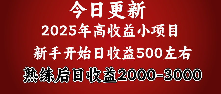 好项目一眼就能看出来，日收益1000，长久可做，2025拼的就是我比你勤奋-天下副业