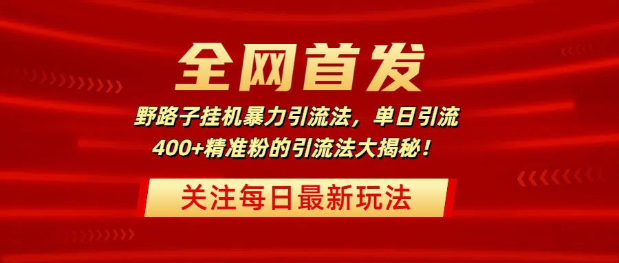 全网首发，野路子挂机暴力引流法，单日引流400+精准粉的引流法大揭秘！-天下副业