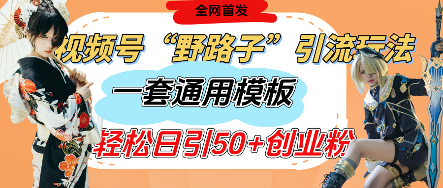 视频号“野路子”玩法，评论区疯狂截流，一套模板单日单号引流50+创业粉-天下副业