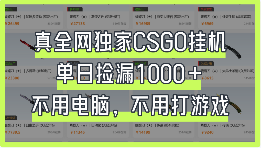 真全网独家CSGO挂机，单日捡漏1000+-天下副业