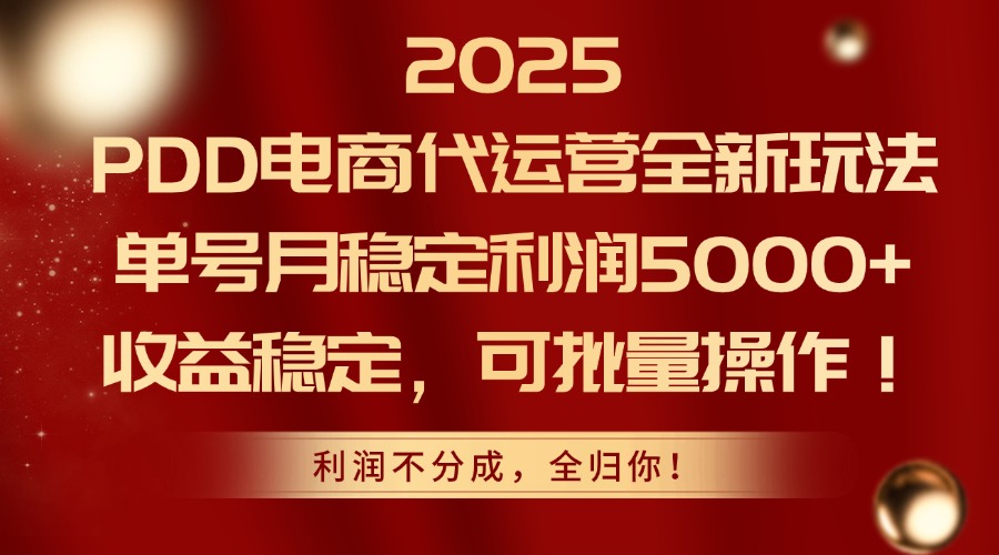 2025 PDD电商代运营全新玩法，单号月稳定利润5000+，收益稳定，可批量操作！-天下副业
