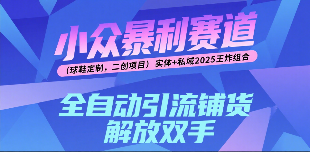 楠—小众暴利赛道（球鞋定制，二创项目）实体+私域2025王炸组合-天下副业