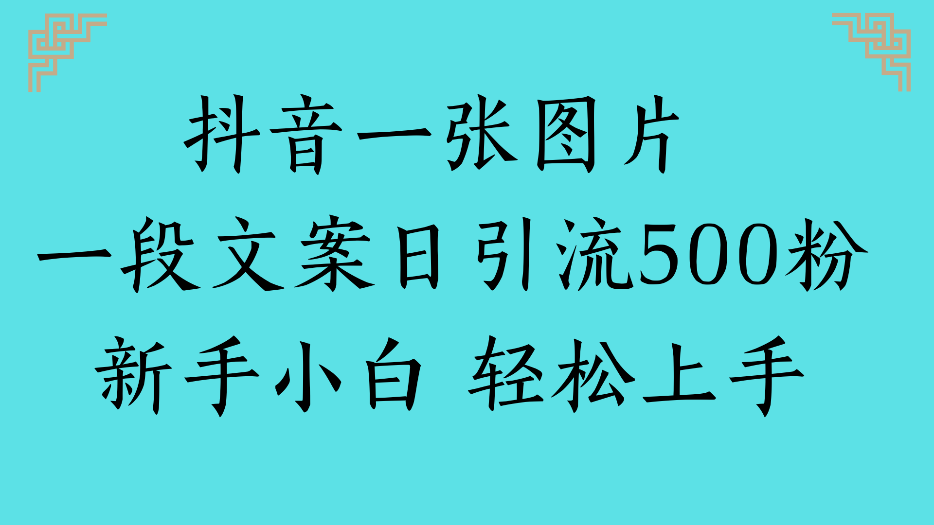 抖音一张图片 一段文案日引流500粉新手小白 轻松上手-天下副业