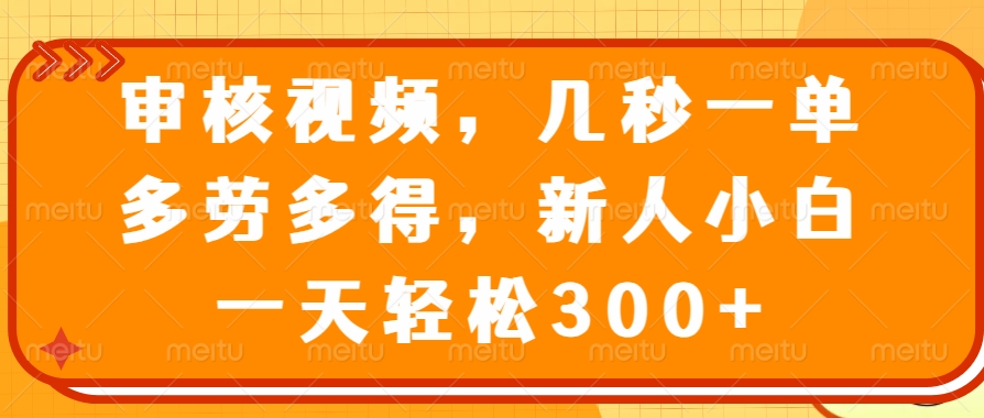 视频审核员，几秒一单，多劳多得，新人小白一天轻松300+-天下副业