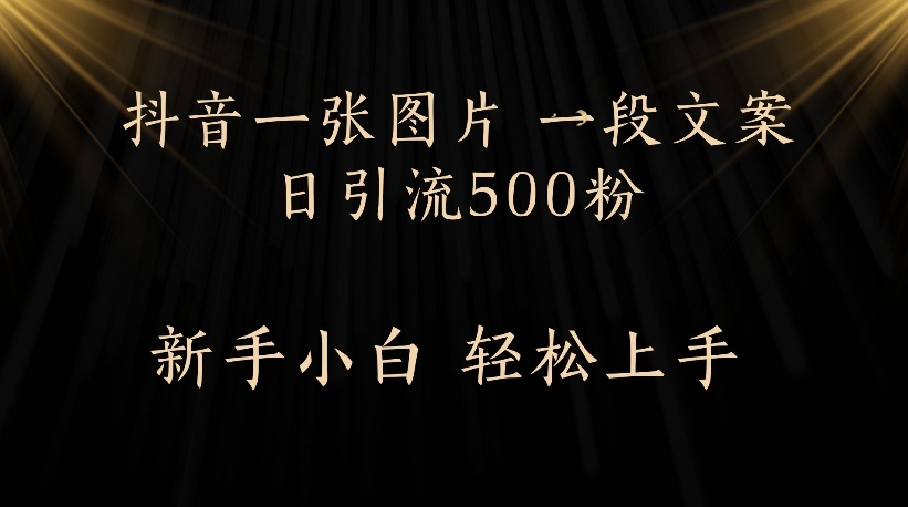 抖音一张图片，一段文案日引流500粉，新手小白 轻松上手-天下副业