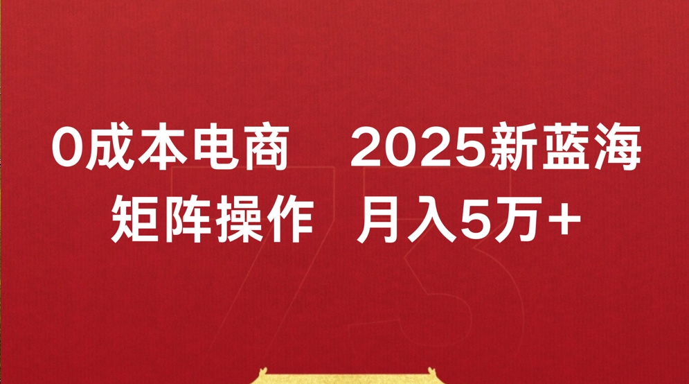 0成本电商2025新蓝海矩阵操作 月入5万+-天下副业