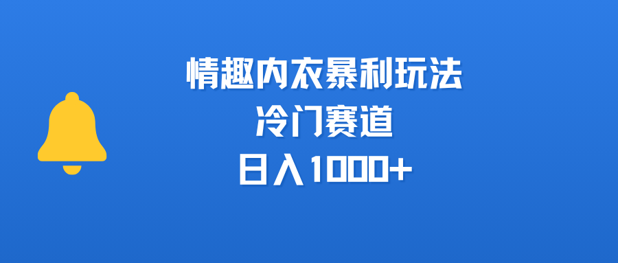 情趣内衣暴利玩法，冷门赛道，日入1000+-天下副业