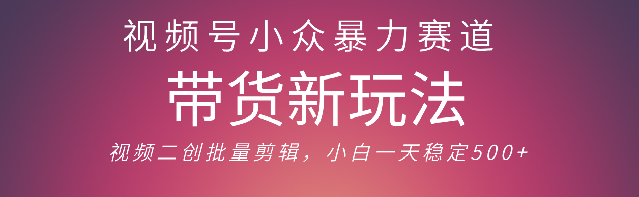 视频号小众暴力赛道，最新带货玩法 小白也能轻松日入500+ 保姆及教程-天下副业