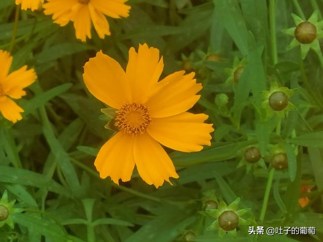 副业怎样选择，不影响工作还能有额外的收入-天下副业