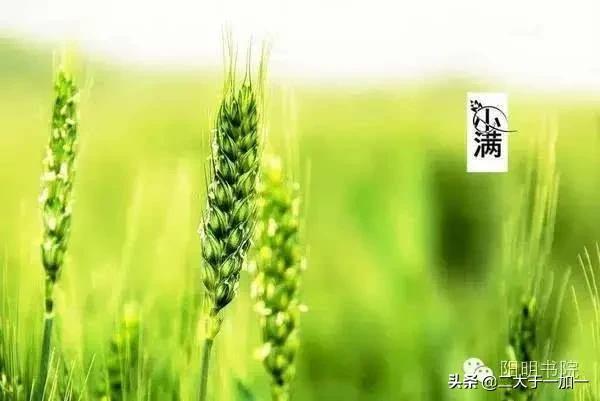 现代农民增加收入的出路——仍然是搞副业-天下副业