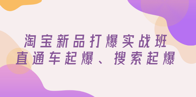【副业项目3372期】淘宝新品打爆实战班（淘宝店铺如何增加流量和访客）-天下副业