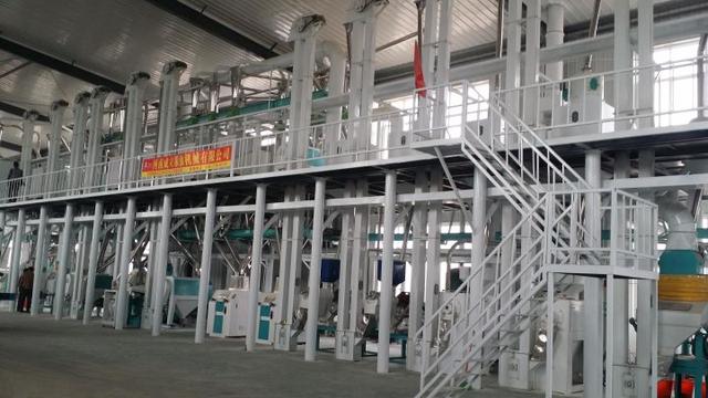五十吨玉米深加工项目赚钱吗？小型玉米深加工项目有哪些？-天下副业