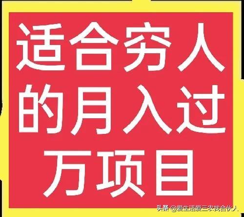 适合农村人做的赚钱项目（在农村做什么项目好）-天下副业
