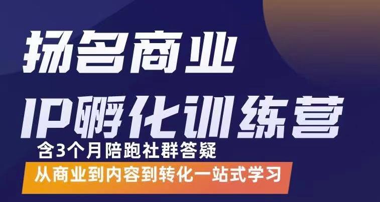 【副业项目3580期】商业IP孵化训练营：从商业到内容到转化一站式学 ，教你怎样打造商业ip-天下副业