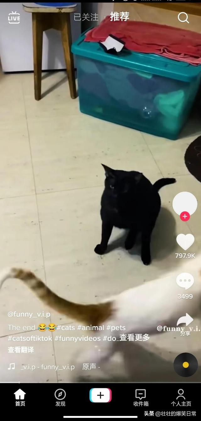 如何使用海外版抖音（国内怎样使用tiktok）-天下副业