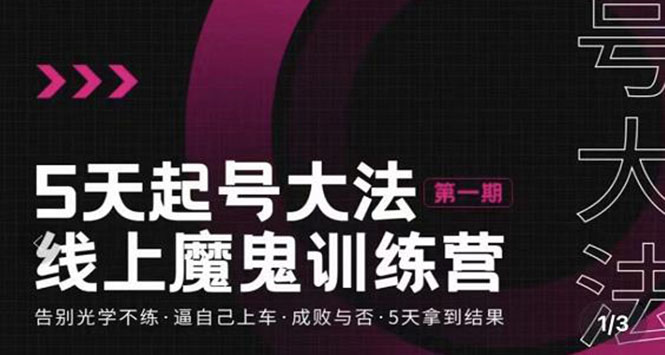 【副业项目3626期】五天起号魔鬼训练营，告别光学不练，逼自己上车，成败与否，5天拿到结果-天下副业