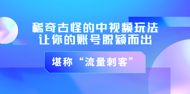 【副业项目3652期】稀奇古怪的中视频玩法，让你的账号脱颖而出，堪称“流量刺客”（图文+视频)-天下副业