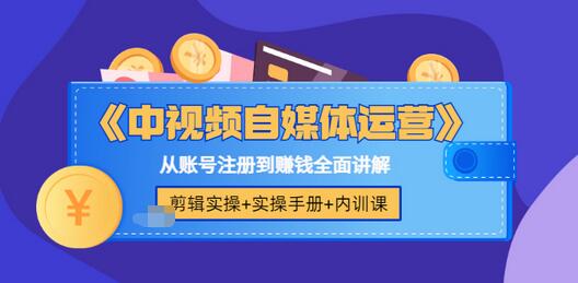 【副业项目3715期】中视频自媒体运营实操+实操手册+内训课，从账号注册到赚钱全面讲解-天下副业