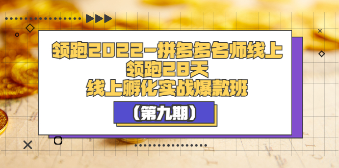 【副业项目3821期】拼多多名师线上领跑28天，拼多多线上孵化实操爆款班（第九期）-天下副业