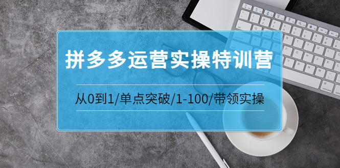 【副业项目3863期】拼多多运营实操特训营：拼多多直通车进阶优化技巧，拼多多如何操作利润最大化-天下副业