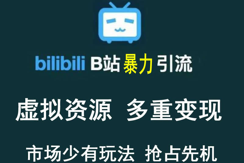 【副业项目3871期】虚拟资源引流方案：B站暴力引流 ，多重变现法-天下副业