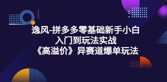 【副业项目3877期】逸风-拼多多新手小白入门到玩法实战，异赛道爆单玩法实操课-天下副业