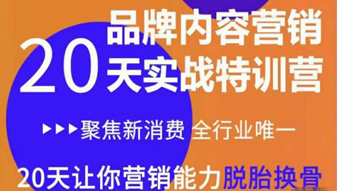 【副业项目3899期】《内容营销实操特训营》20天让你营销能力脱胎换骨（价值3999）-天下副业