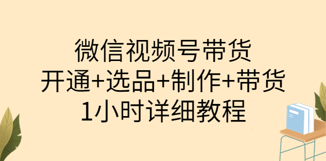 【副业项目3940期】陈奶爸·微信视频号带货：开通+选品+制作+带货（1小时详细教程）-天下副业