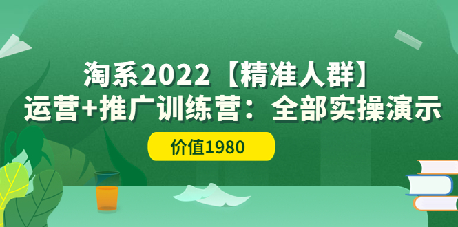 【副业项目3941期】淘系2022【精准人群】运营+推广训练营：全部实操演示-天下副业