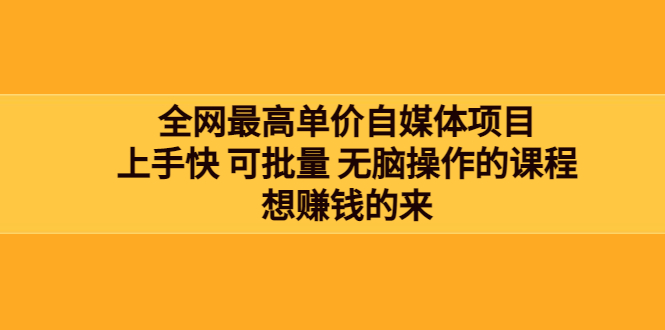 【副业项目3976期】全网最单高价自媒体项目：上手快 可批量 无脑操作的课程，想赚钱的来-天下副业