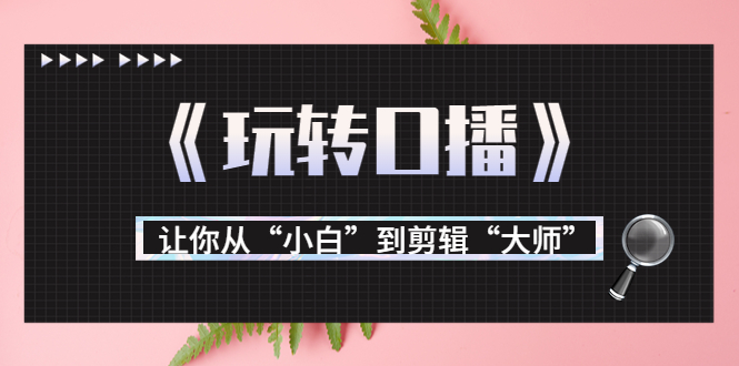 【副业项目3987期】月营业额700万+大佬教您《玩转口播》让你从“小白”到剪辑“大师”-天下副业