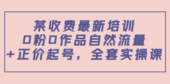 【副业项目4039期】某收费最新培训：0粉0作品自然流量+正价起号，全套实操课-天下副业